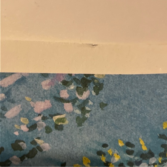 “Garden Party” Print by Chris Bollen 20.25x11.25- Unframed - Picture 10 of 11